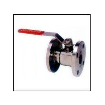 SS Single Piece Flanged End